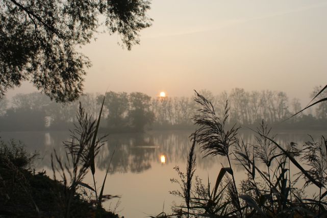 Fotografie z výlovu Doubravic 2018